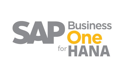 SAP Business One Hana
