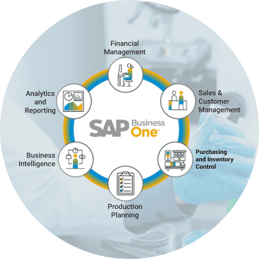 sap-business-one-helps-image