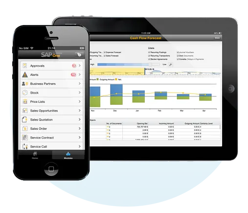 SAP Business One Mobility Solutions