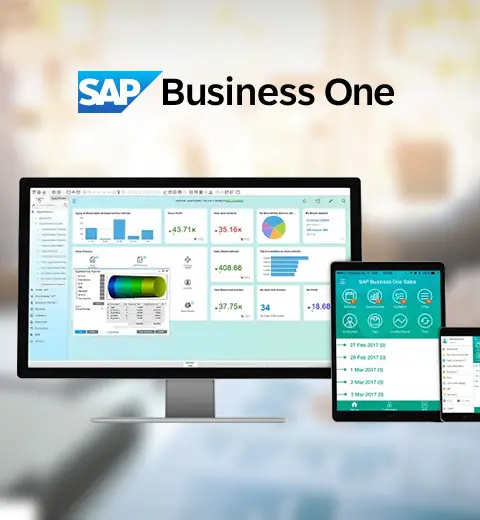 SAP Business One
