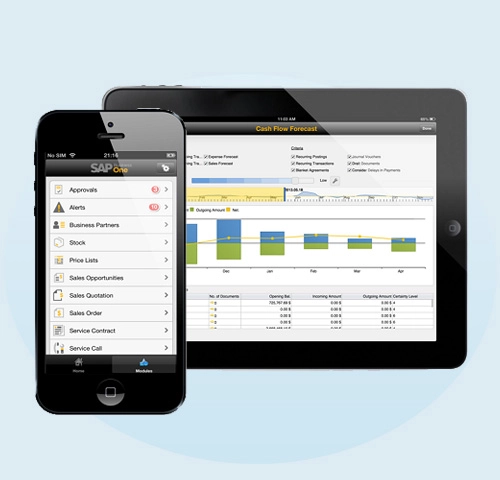 SAP Business One Mobility Solutions