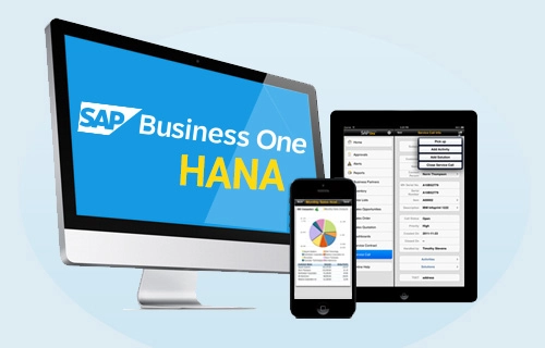 Migrate to SAP HANA with Confidence