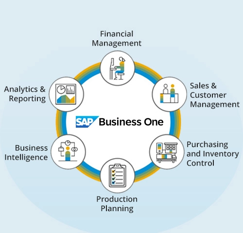 Benefits of SAP Business One Customization