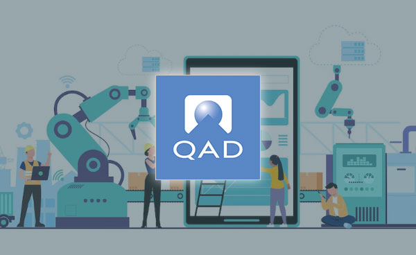 QAD Application Support for Global Automotive Parts Supplier