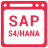 SAP S4 HANA Services